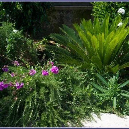 Sami Nefeli Lägenhet Karavomylos