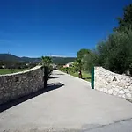 Sami Nefeli *